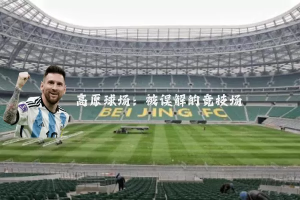 高原球场：被误解的竞技场